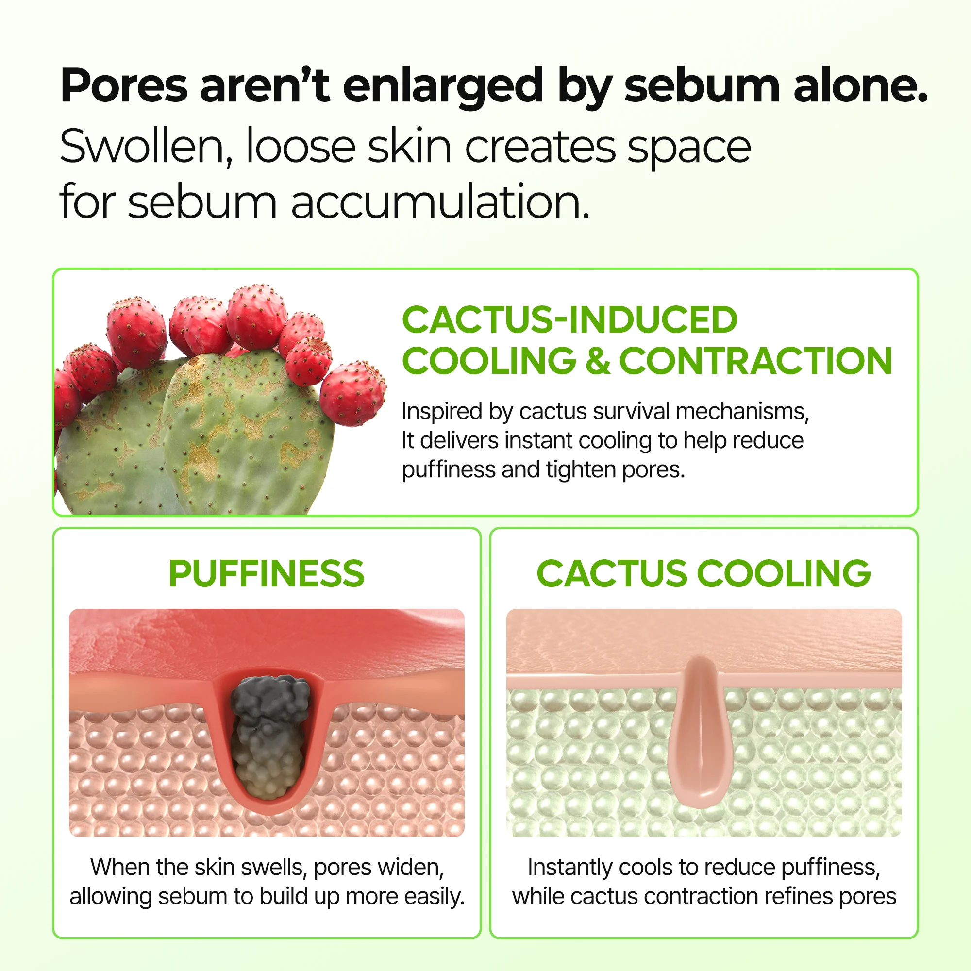 Dr.Melaxin Cactox & CalciumMulti Balm Pore Firming Duowith Cactus Cooling & Eye CareStick for Visible Pore Refiningand Skin Repair